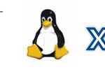 Howto: Gerando Dump do Postgresql e transferindo o arquivo para uma máquina com Windows Server