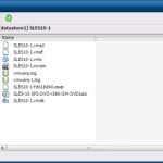 Resolvendo problemas da placa eth0 ao clonar máquinas virtuais CentOS no VMware ESX